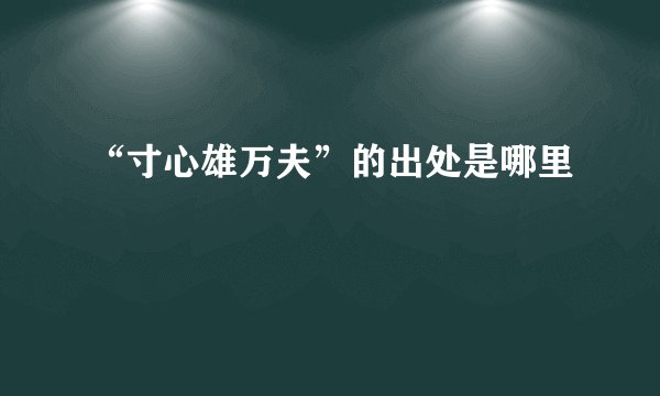 “寸心雄万夫”的出处是哪里