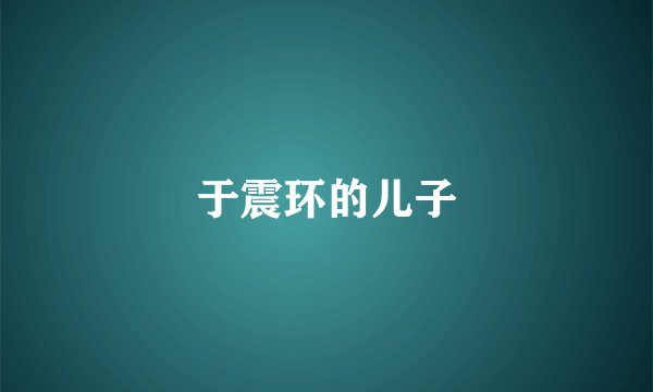 于震环的儿子