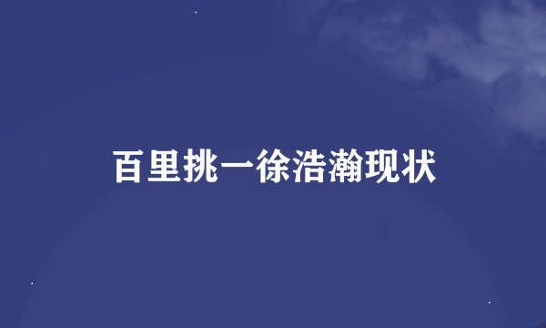百里挑一徐浩瀚现状