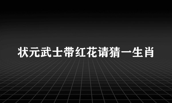 状元武士带红花请猜一生肖