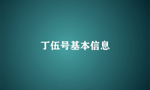 丁伍号基本信息