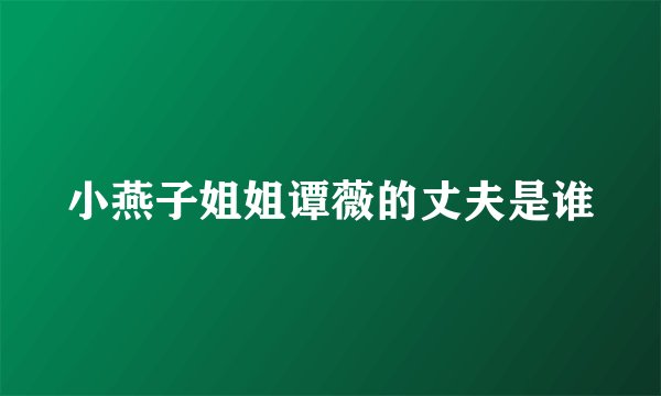 小燕子姐姐谭薇的丈夫是谁