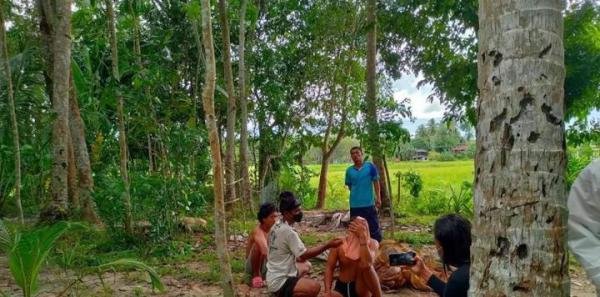 生命太脆弱，男子被一个突然掉落的椰子砸中头，最终经抢救无效死亡！