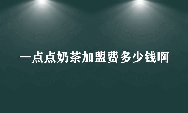 一点点奶茶加盟费多少钱啊