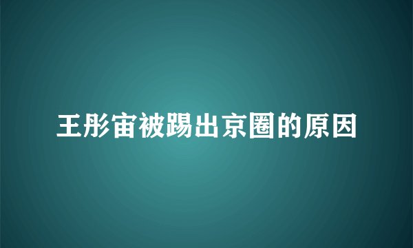 王彤宙被踢出京圈的原因
