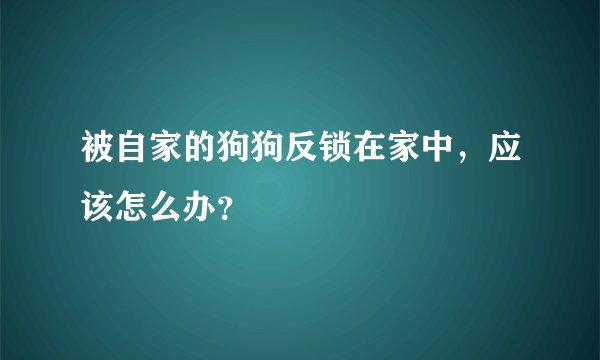 被自家的狗狗反锁在家中，应该怎么办？