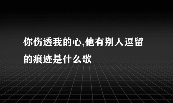 你伤透我的心,他有别人逗留的痕迹是什么歌