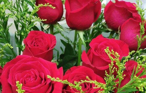 25朵玫瑰花花语代表什么意思