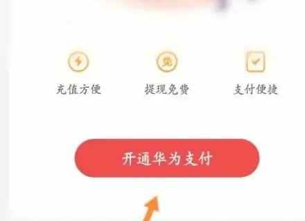 花瓣支付在哪里打开