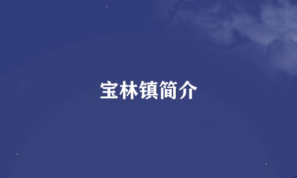 宝林镇简介