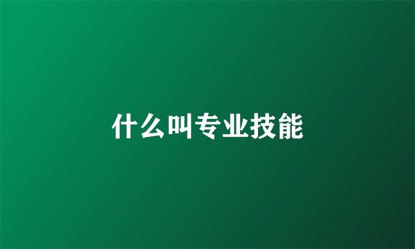 什么叫专业技能