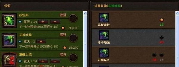 斗战神果子狸加点