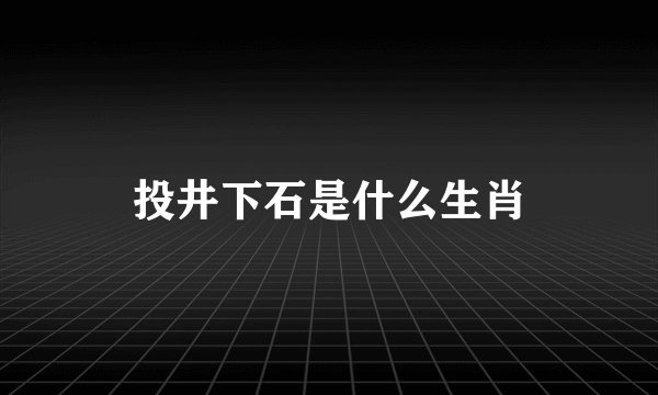 投井下石是什么生肖