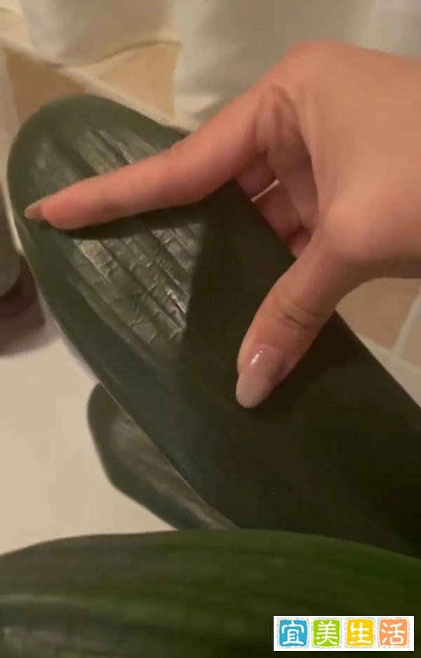 定闹钟浇水！女子养了半年的花，竟是…