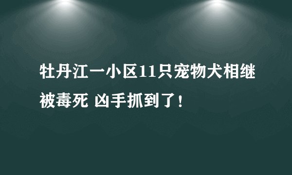 牡丹江一小区11只宠物犬相继被毒死 凶手抓到了！