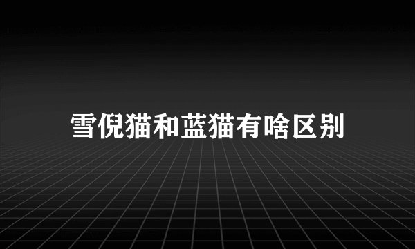 雪倪猫和蓝猫有啥区别