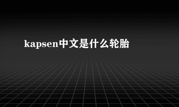 kapsen中文是什么轮胎