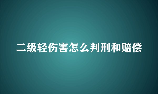 二级轻伤害怎么判刑和赔偿