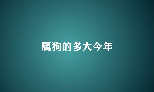 属狗的多大今年