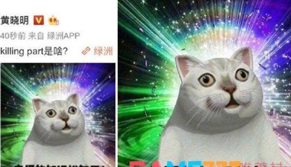 killing part是什么意思?【killing part出自哪里】?