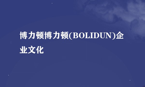 博力顿博力顿(BOLIDUN)企业文化