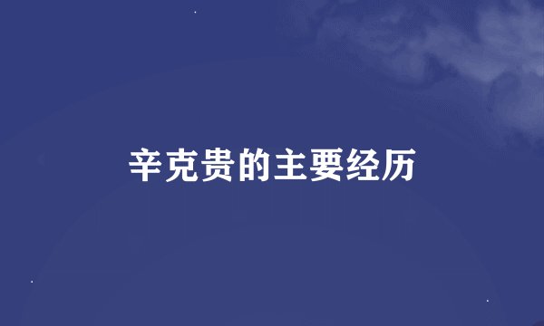 辛克贵的主要经历