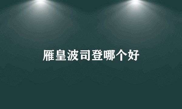 雁皇波司登哪个好