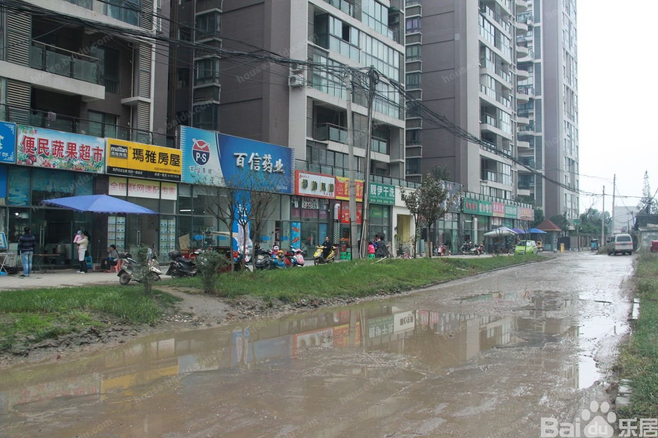 蒂梵尼TOWN的详细情况