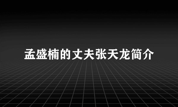 孟盛楠的丈夫张天龙简介