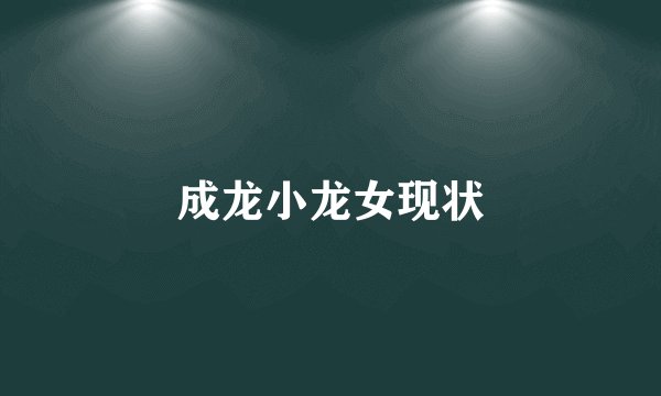 成龙小龙女现状