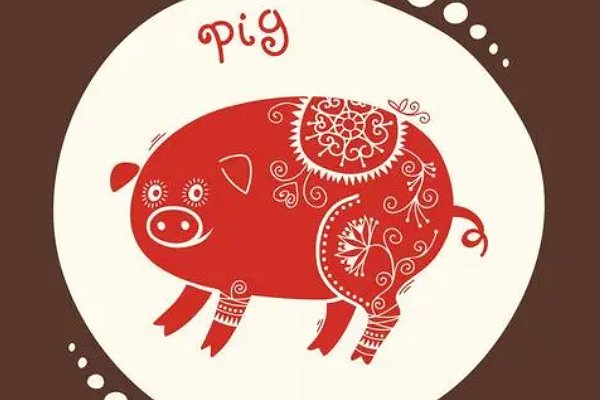 不安本分是什么动物生肖