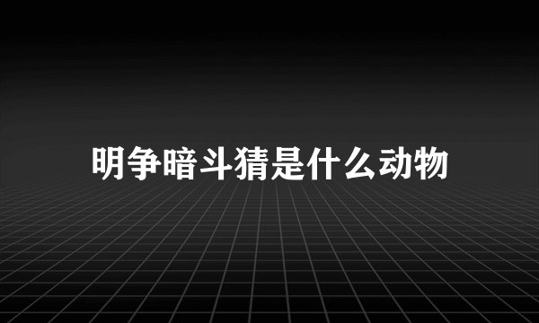 明争暗斗猜是什么动物