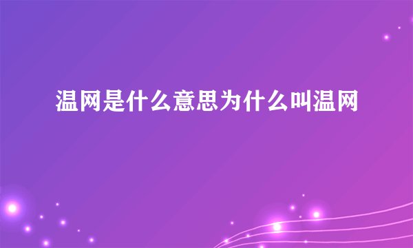 温网是什么意思为什么叫温网
