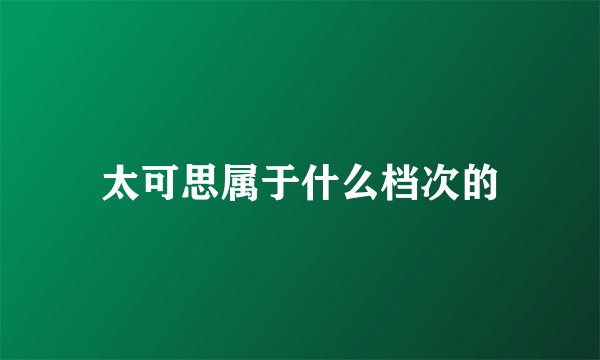 太可思属于什么档次的