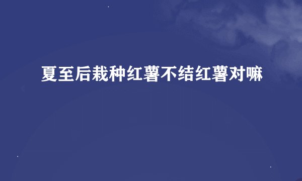 夏至后栽种红薯不结红薯对嘛
