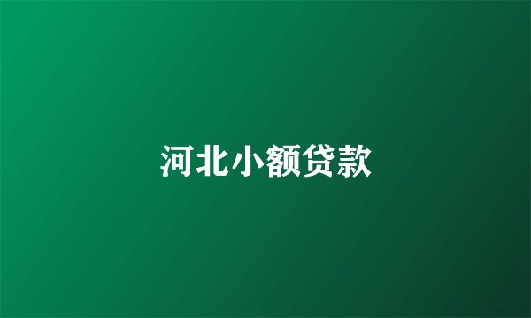 河北小额贷款