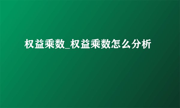 权益乘数_权益乘数怎么分析