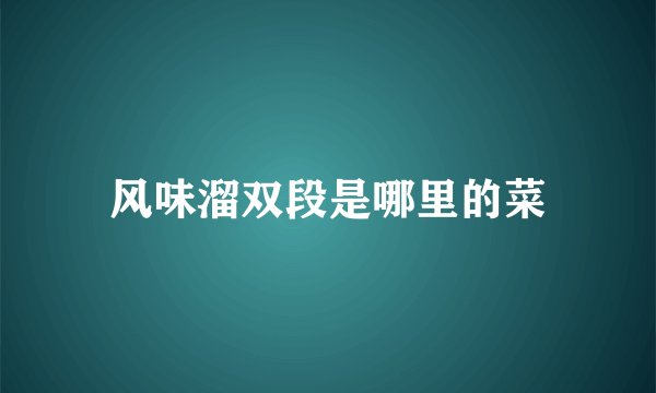 风味溜双段是哪里的菜