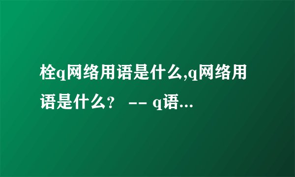 栓q网络用语是什么,q网络用语是什么？ -- q语言网络术语解析