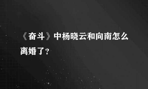 《奋斗》中杨晓云和向南怎么离婚了？