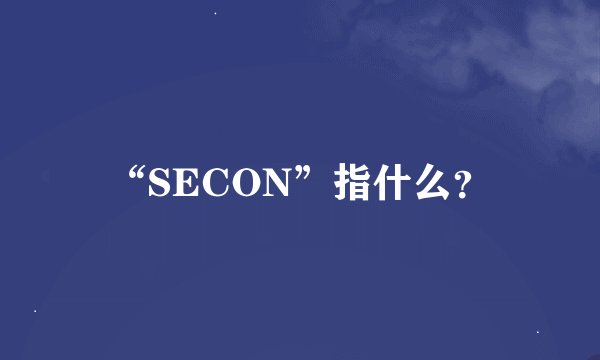 “SECON”指什么？