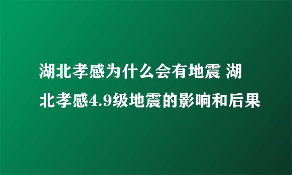 湖北孝感为什么会有地震 湖北孝感4.9级地震的影响和后果
