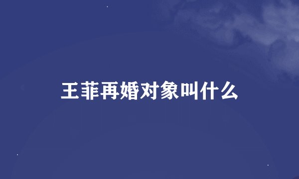 王菲再婚对象叫什么