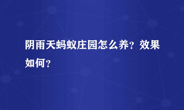 阴雨天蚂蚁庄园怎么养？效果如何？