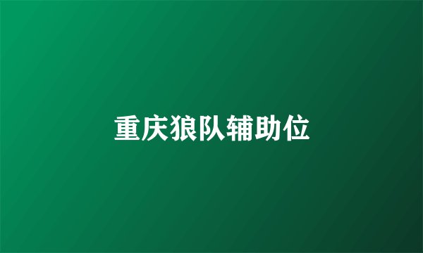 重庆狼队辅助位