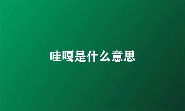 哇嘎是什么意思