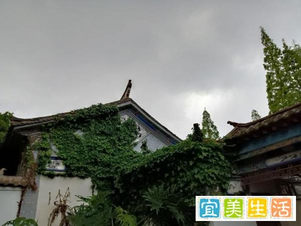 什么是空亡屋