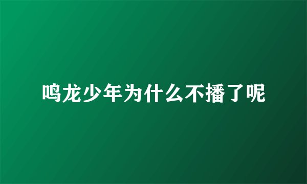 鸣龙少年为什么不播了呢