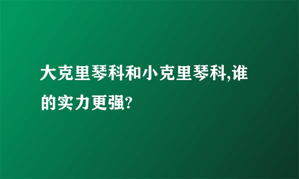 大克里琴科和小克里琴科,谁的实力更强?
