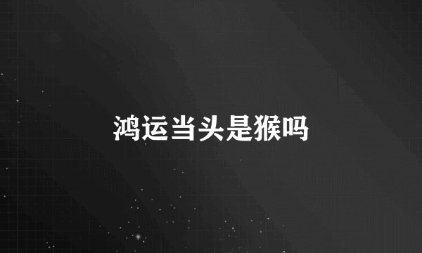 鸿运当头是猴吗